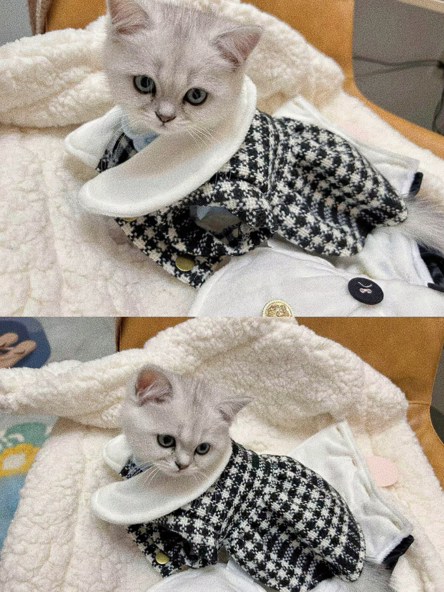 Pet light luxury flower British style princess dress