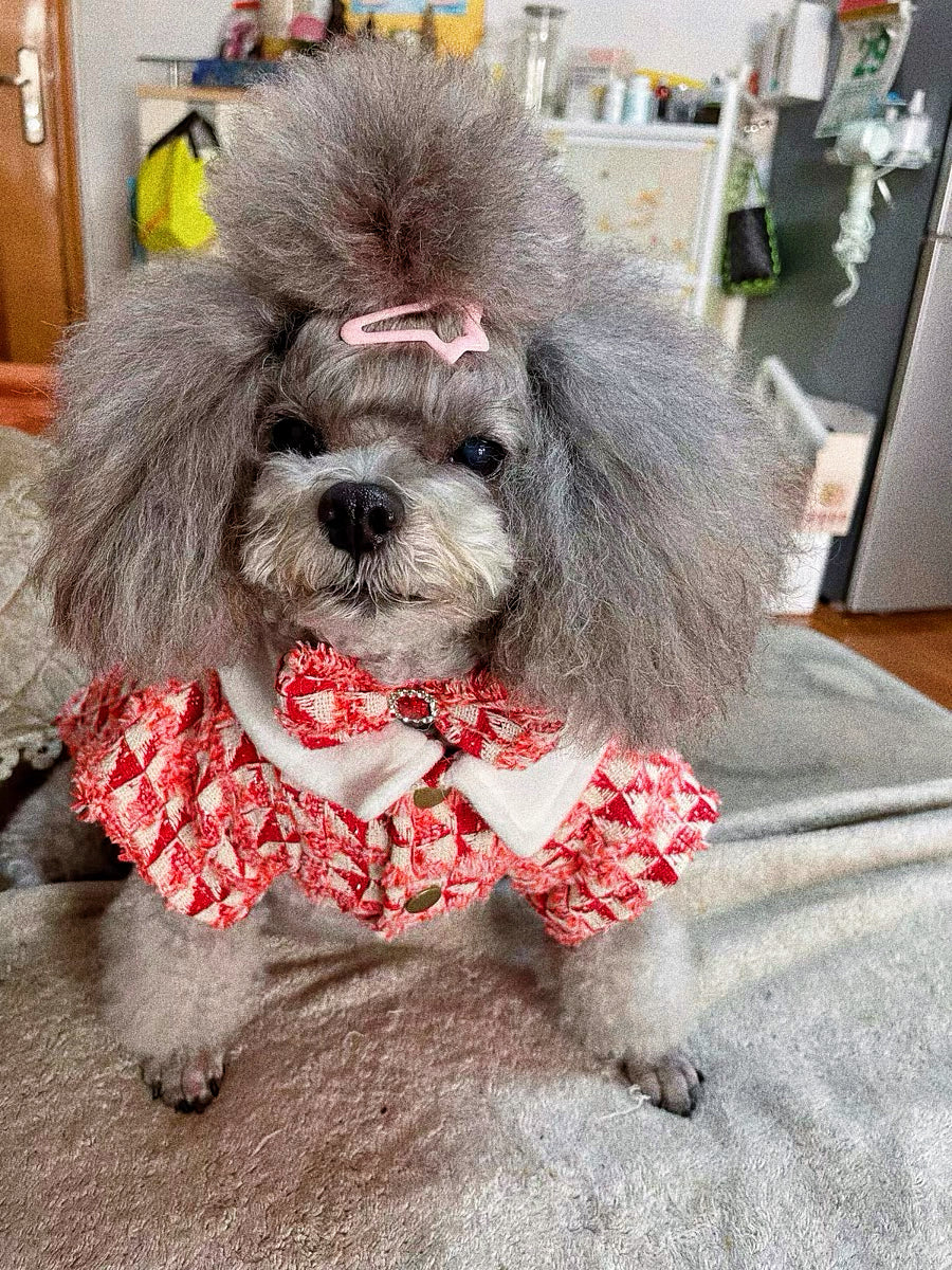 Pet light luxury flower British style princess dress