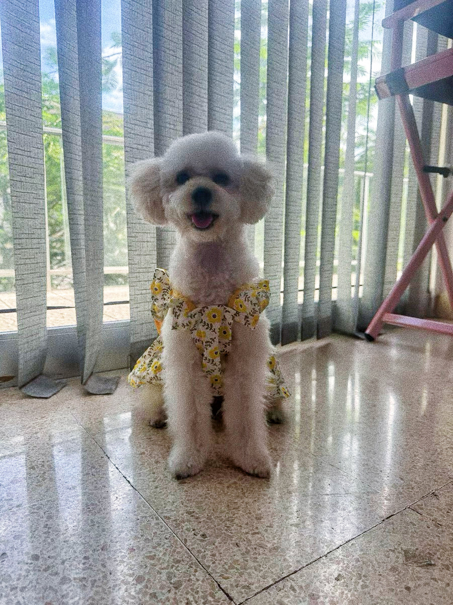 Pet princess dress with yellow bow print