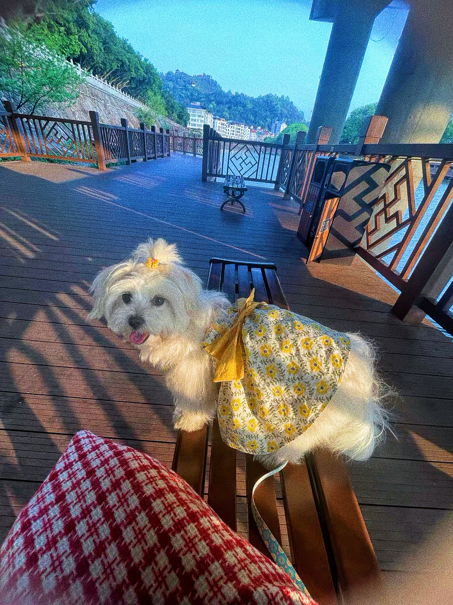 Pet princess dress with yellow bow print