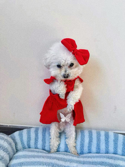 Pet's red Mickey Princess dress