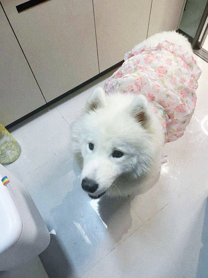 Flower lace dress for pet dog