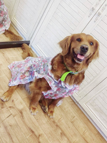 Flower lace dress for pet dog