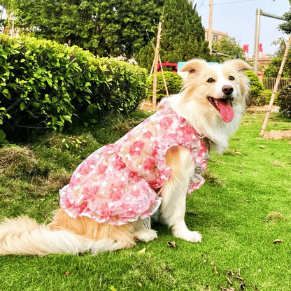 Flower lace dress for pet dog