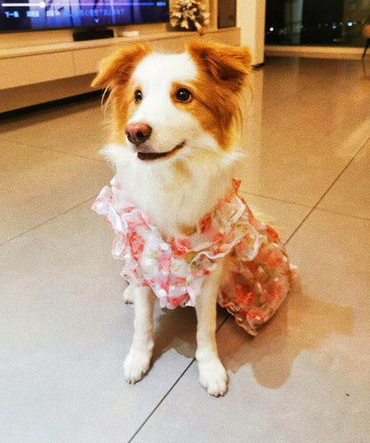 Flower lace dress for pet dog