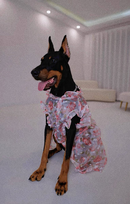 Flower lace dress for pet dog