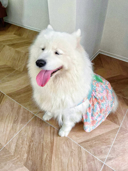 Pet dog tulip harness fairy dress