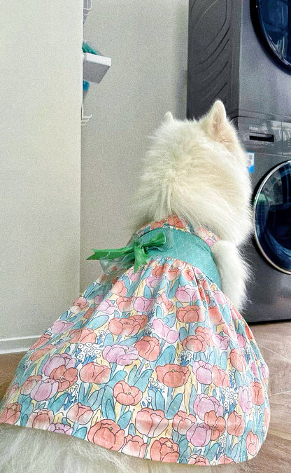 Pet dog tulip harness fairy dress