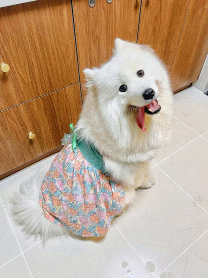 Pet dog tulip harness fairy dress
