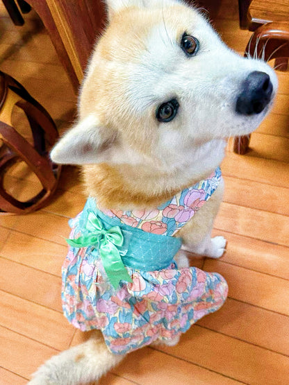 Pet dog tulip harness fairy dress