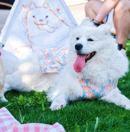 Pet dog tulip harness fairy dress