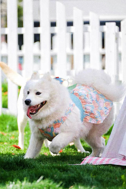 Pet dog tulip harness fairy dress
