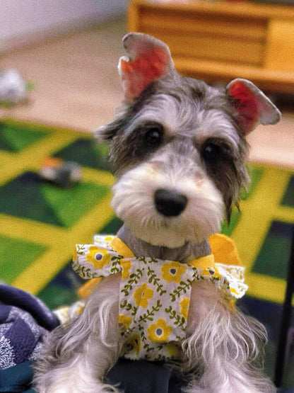 Pet princess dress with yellow bow print