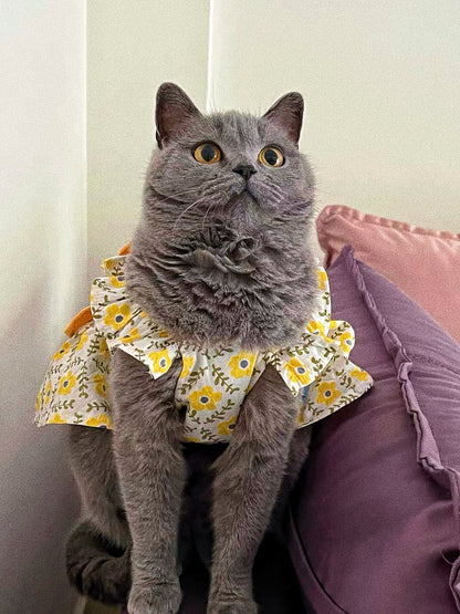 Pet princess dress with yellow bow print