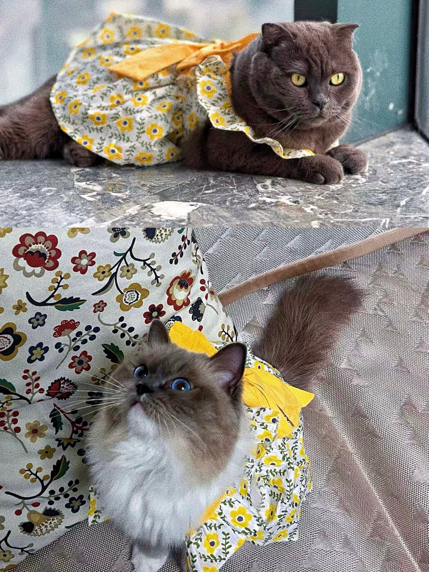 Pet princess dress with yellow bow print